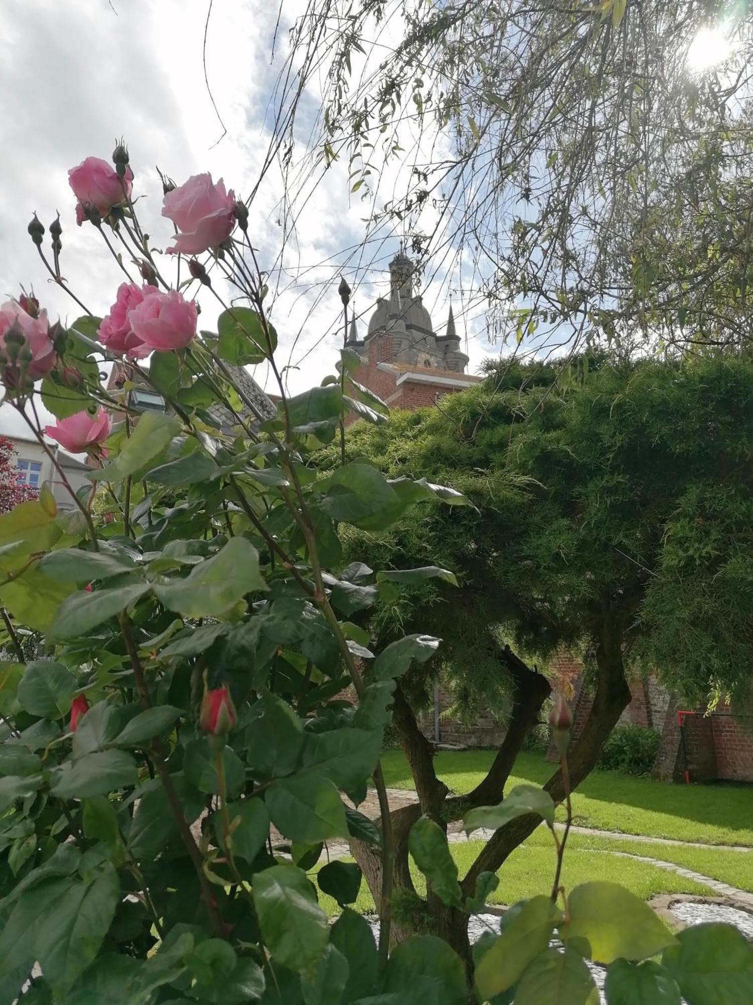 Le Relais Napoleon Bed & Breakfast Avesnes-sur-Helpe Bagian luar foto