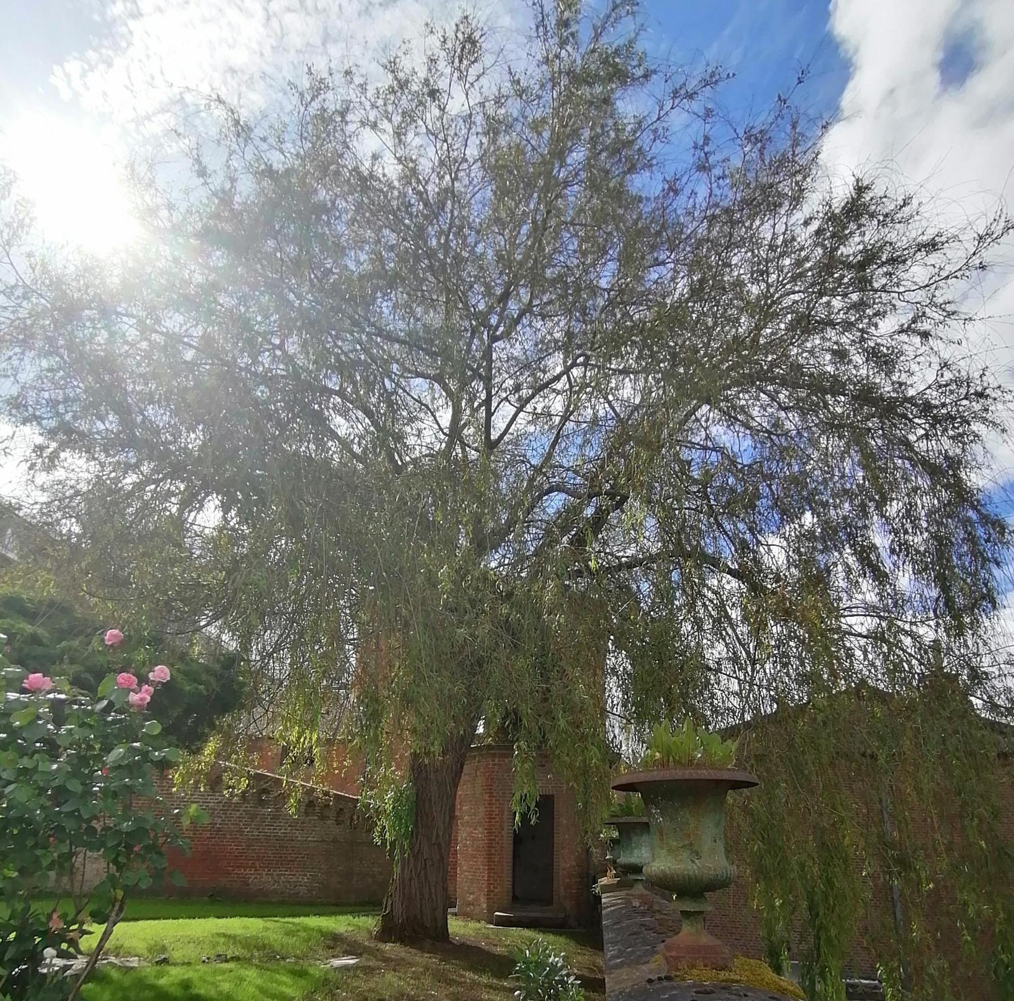 Le Relais Napoleon Bed & Breakfast Avesnes-sur-Helpe Bagian luar foto